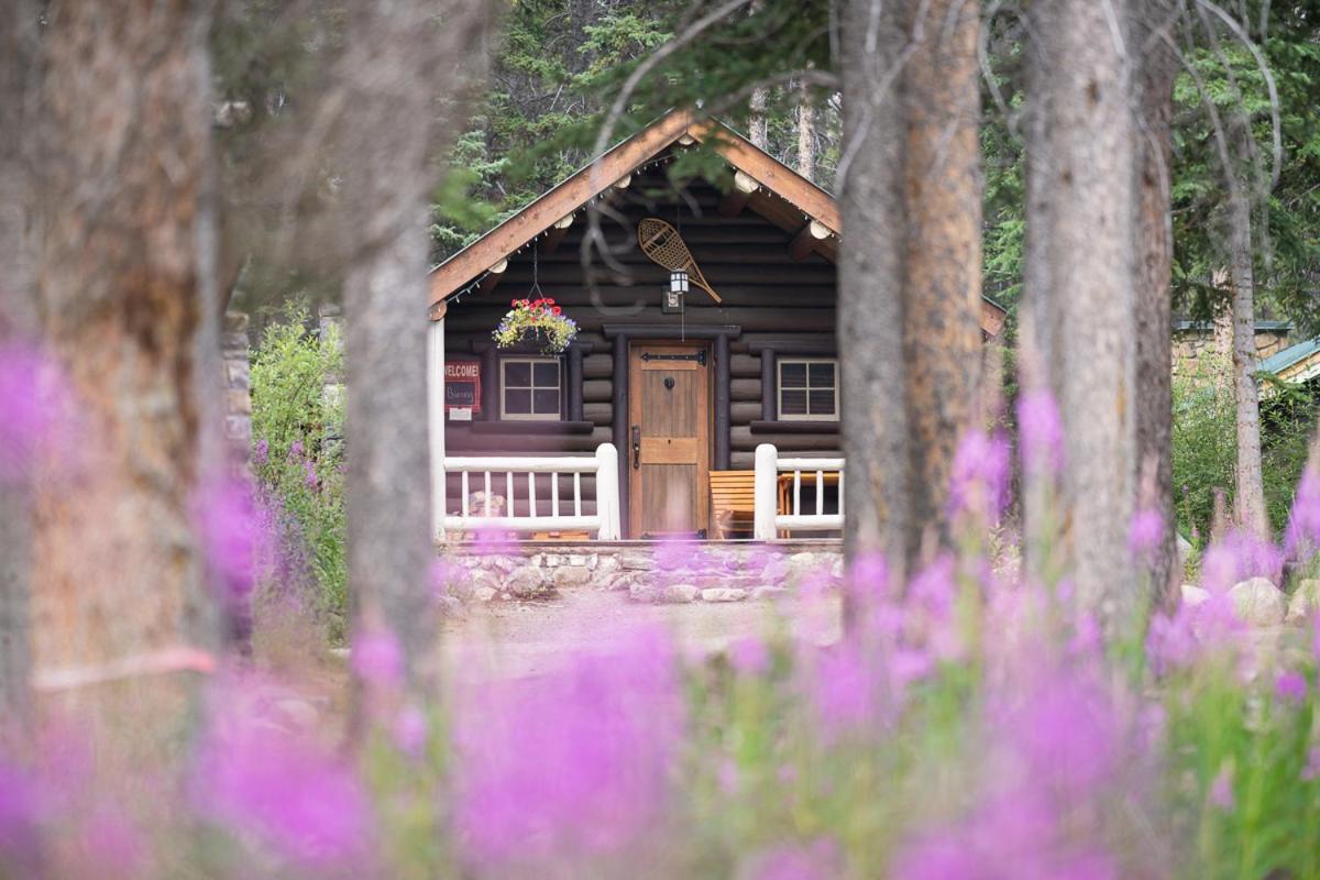 Storm Mountain Lodge & Cabins 卡斯特尔朱克逊 外观 照片